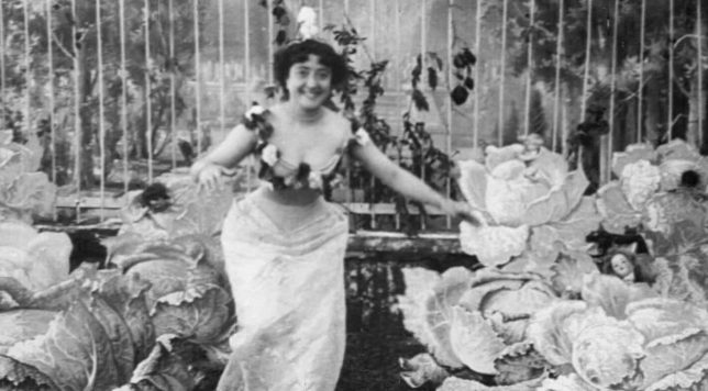 The Cabbage Fairy (1900)